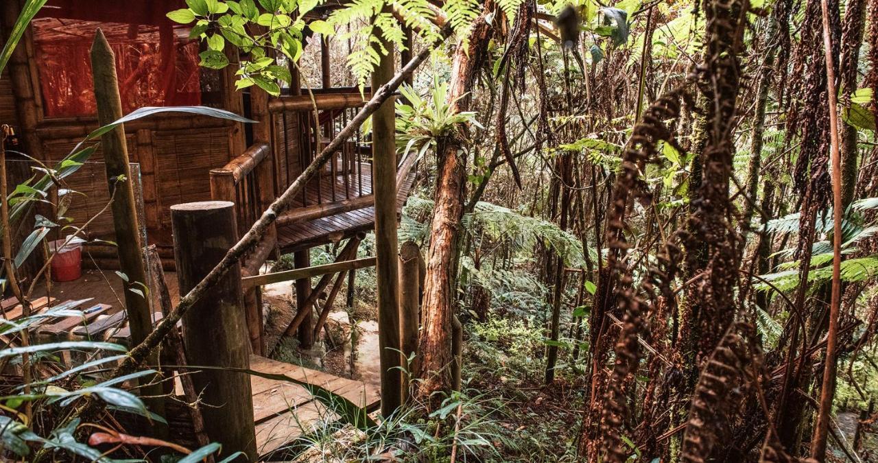 Hotel Guatape Adrianas Bambu Exterior foto