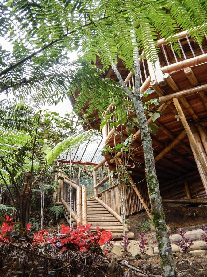 Hotel Guatape Adrianas Bambu Exterior foto